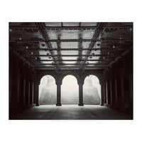 Levitation (Print Only)