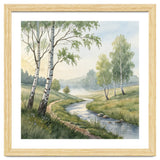 Morning Mist in the Birch Valley thumbnail