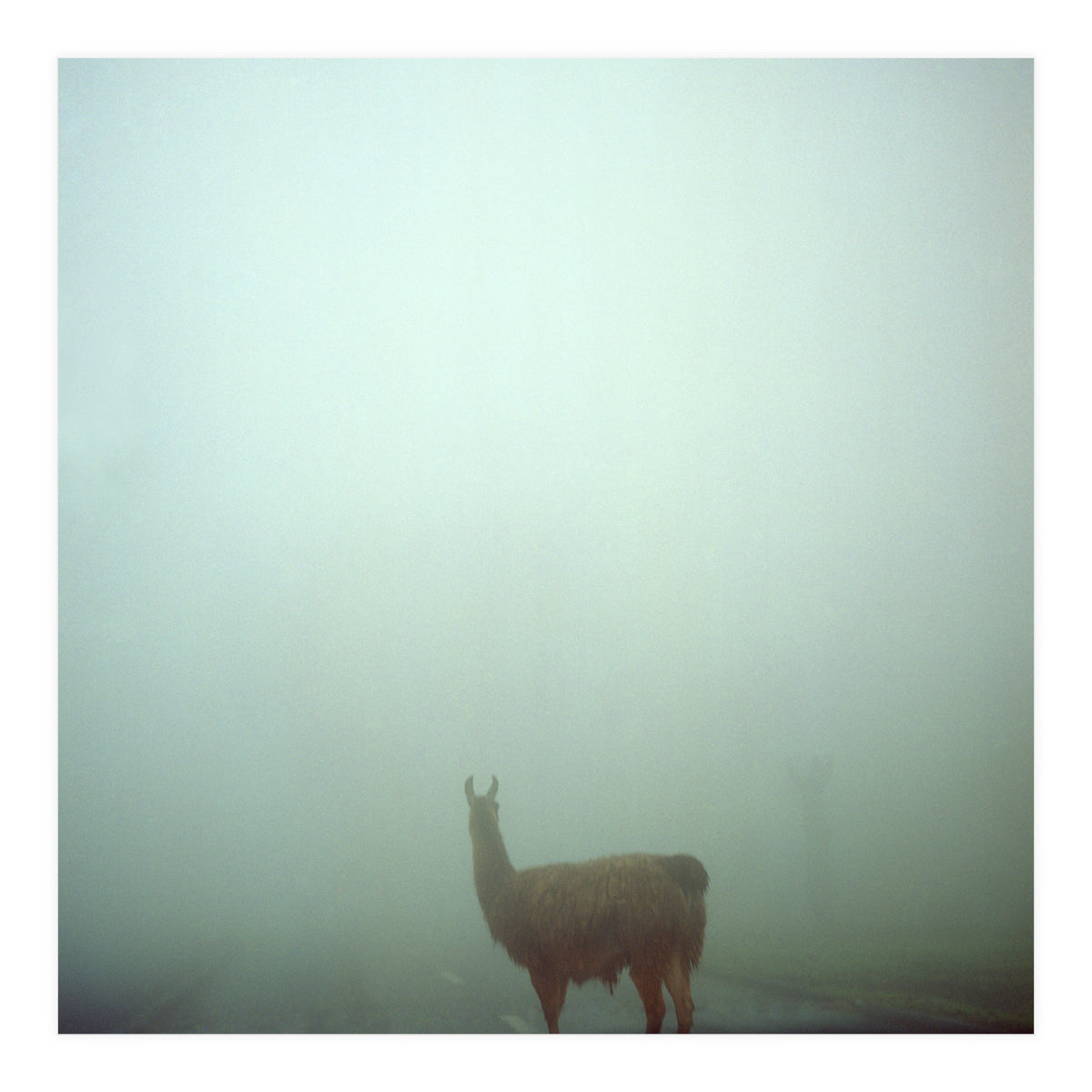 Silence of breath - 04 (Print Only)