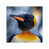 King Penguin In Falling Snow (Print Only) thumbnail