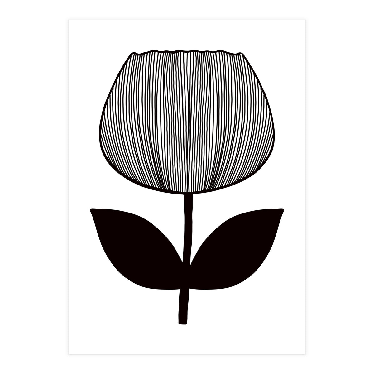 Tulip (Print Only)