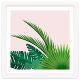 Tropical thumbnail