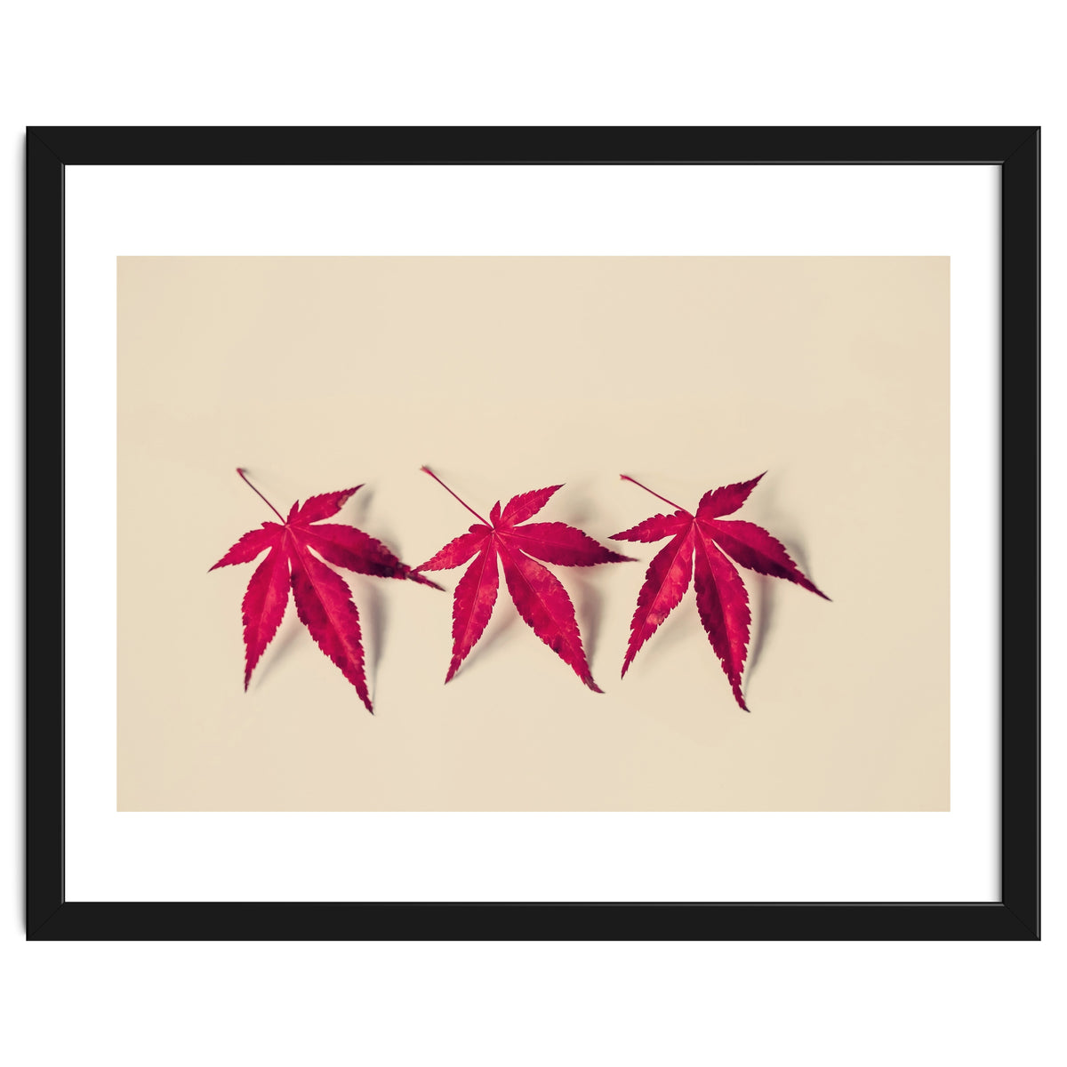 Dancing Leaves