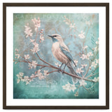 Bird Vintage Nostalgia thumbnail