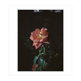 Romantic (Print Only) thumbnail