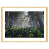 Art In The Forest thumbnail