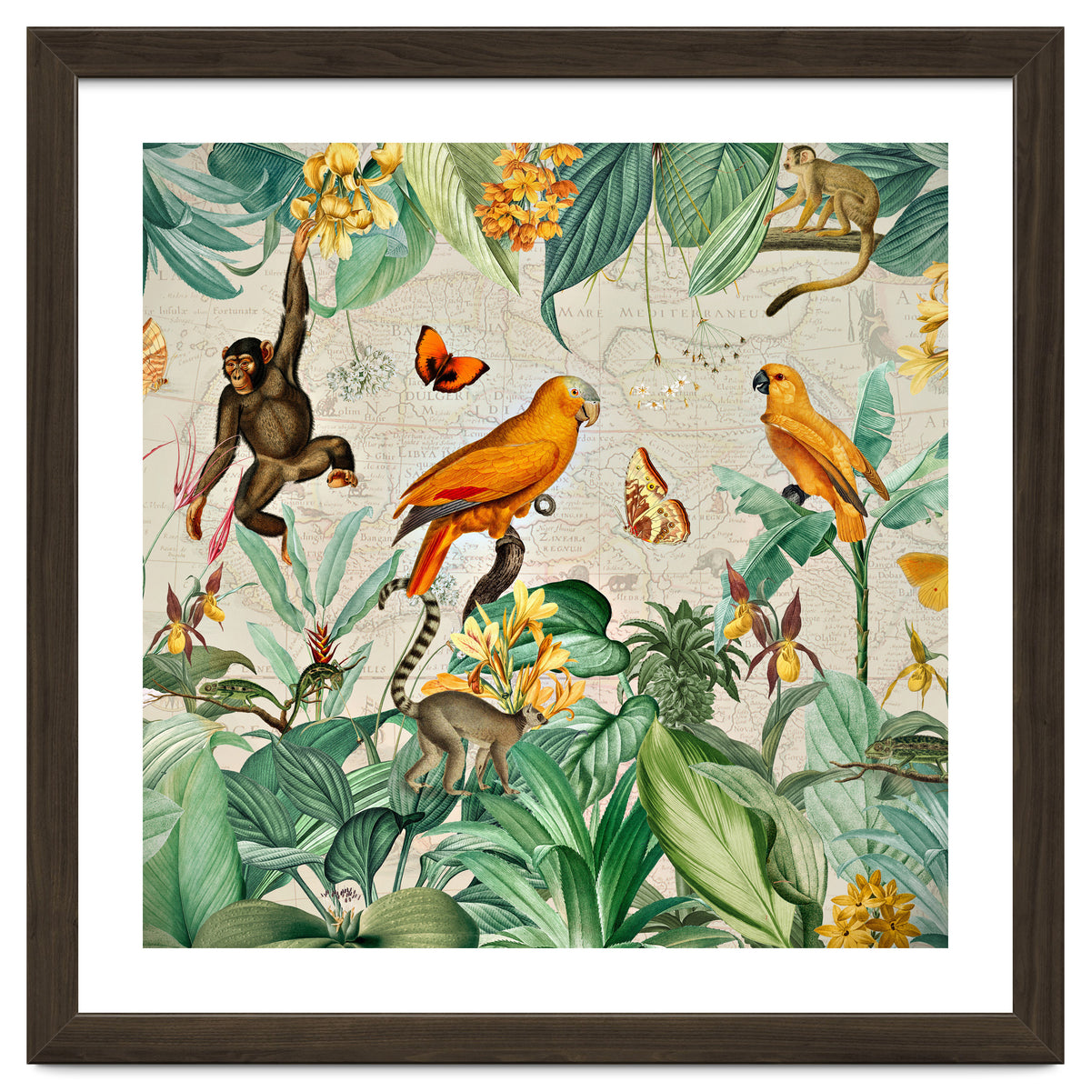 Vintage African Tropical Jungle Fun Animals