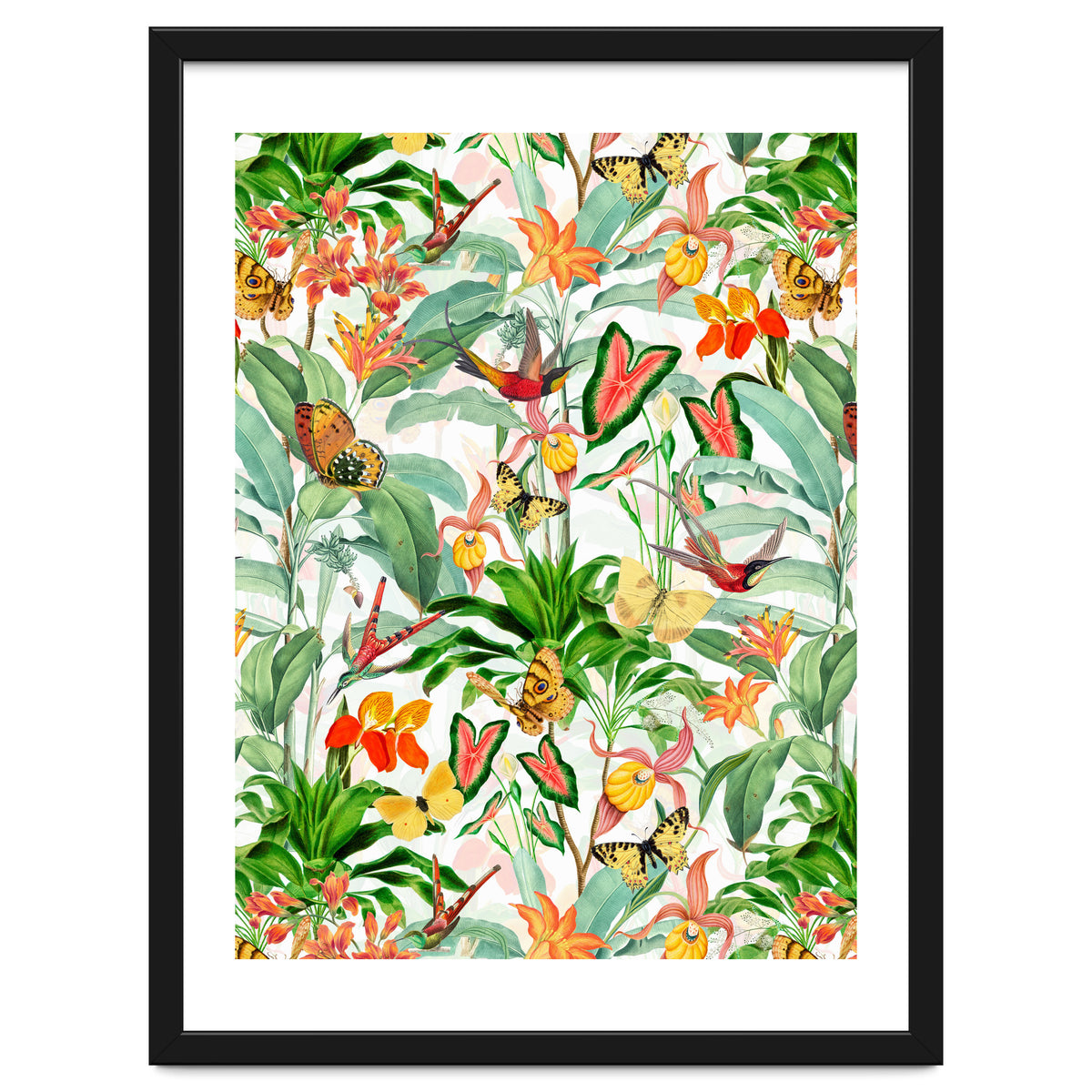 Birds And Butterflies In Tropical Jungle