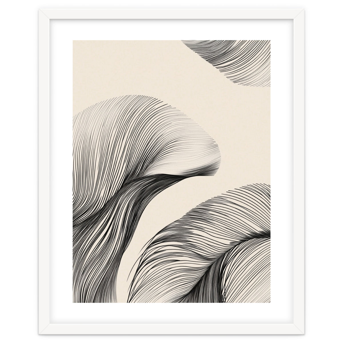 Black And White Flowing Lines Organic Shapes