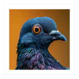 Close Up Of A Pigeon's Head And Neck (Print Only) thumbnail