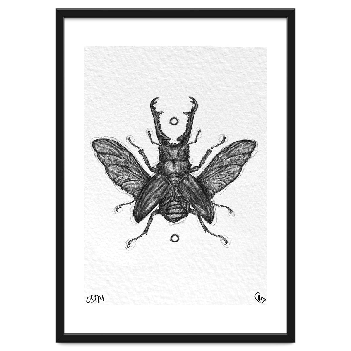 Giraffen Hirschkäfer