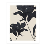 Shadowed Blooms (Print Only) thumbnail