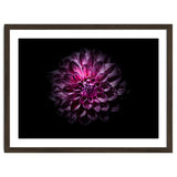 Backyard Flowers No 57 Color Version thumbnail