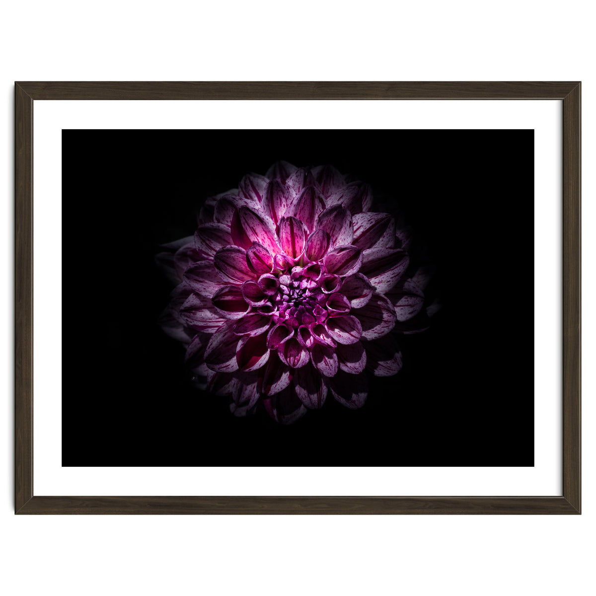 Backyard Flowers No 57 Color Version