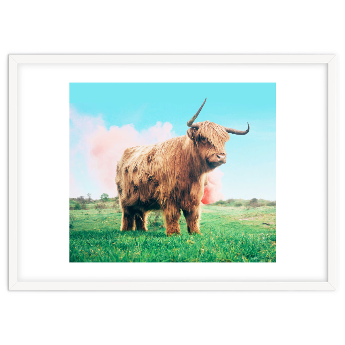 Highland Cow #society6 #decor #buyart