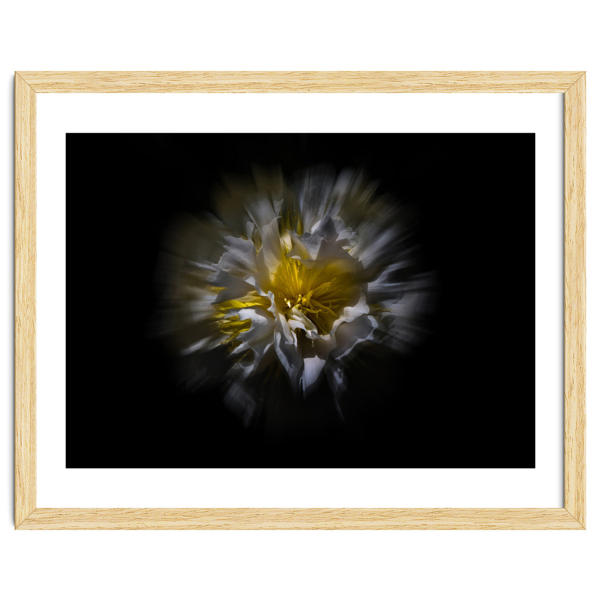 Backyard Flowers No 25 Color Flow Version