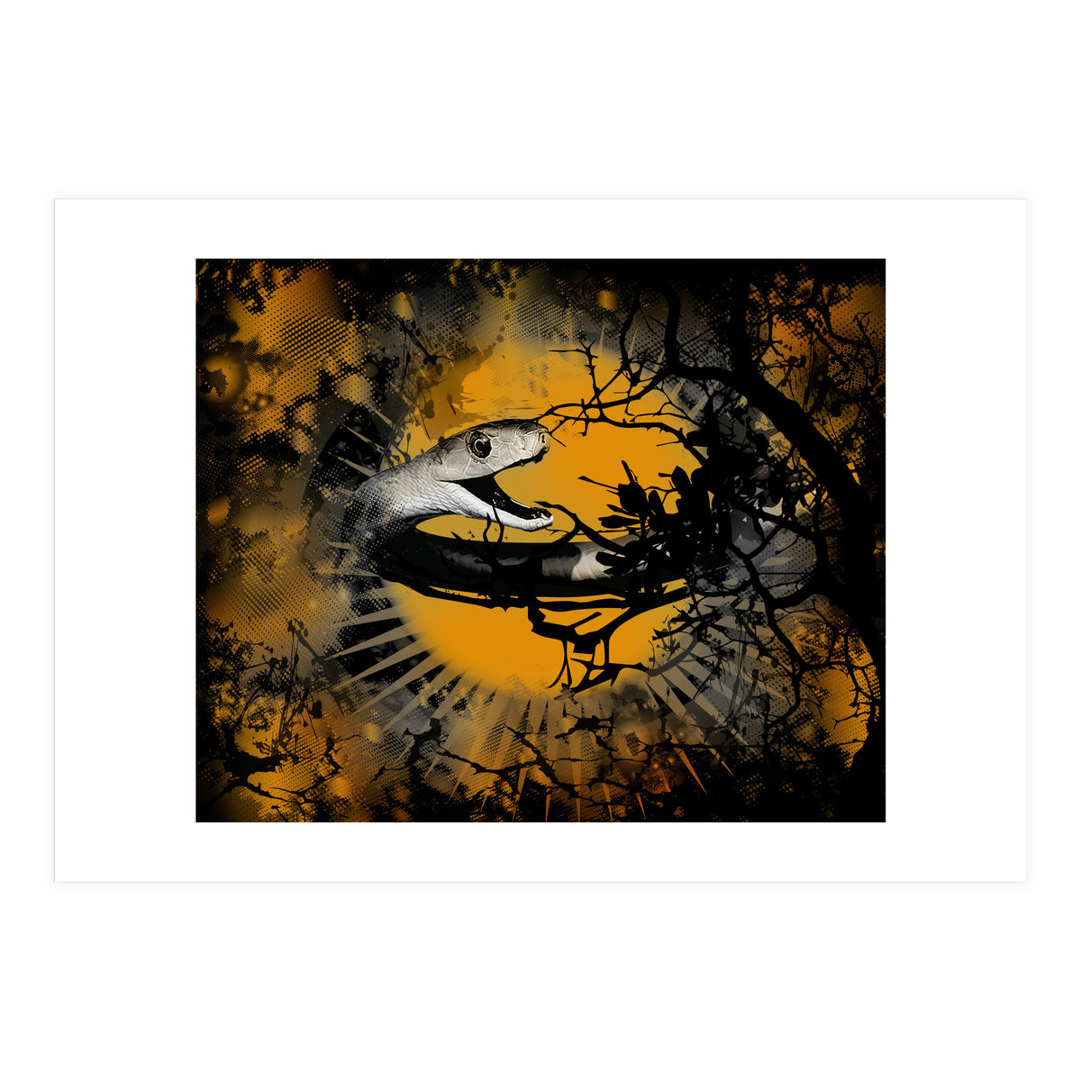 Black Mamba  (Print Only)