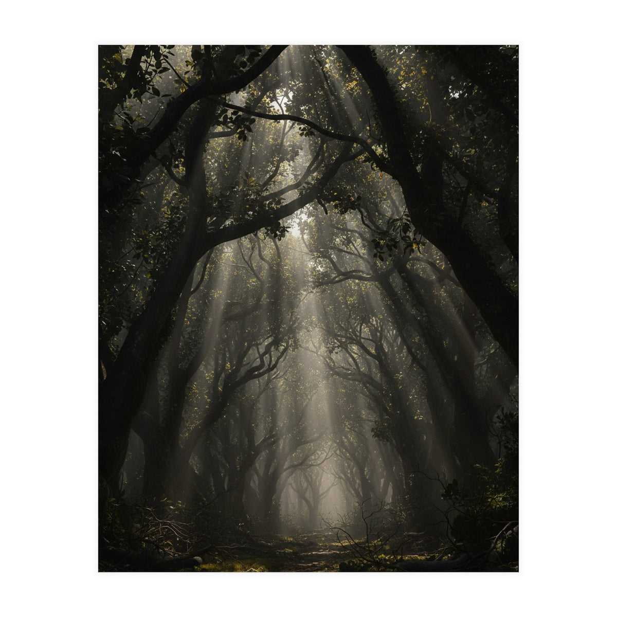 Enchanted Canopy: Mystical Forest Path (Print Only)