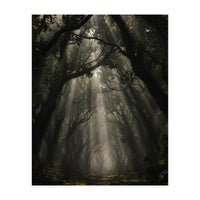 Enchanted Canopy: Mystical Forest Path (Print Only)