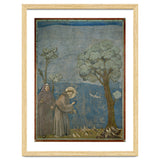 Saint Francis of Assisi preaching to the birds. Giotto. GIOTTO DE BONDONE (1266-1337). thumbnail