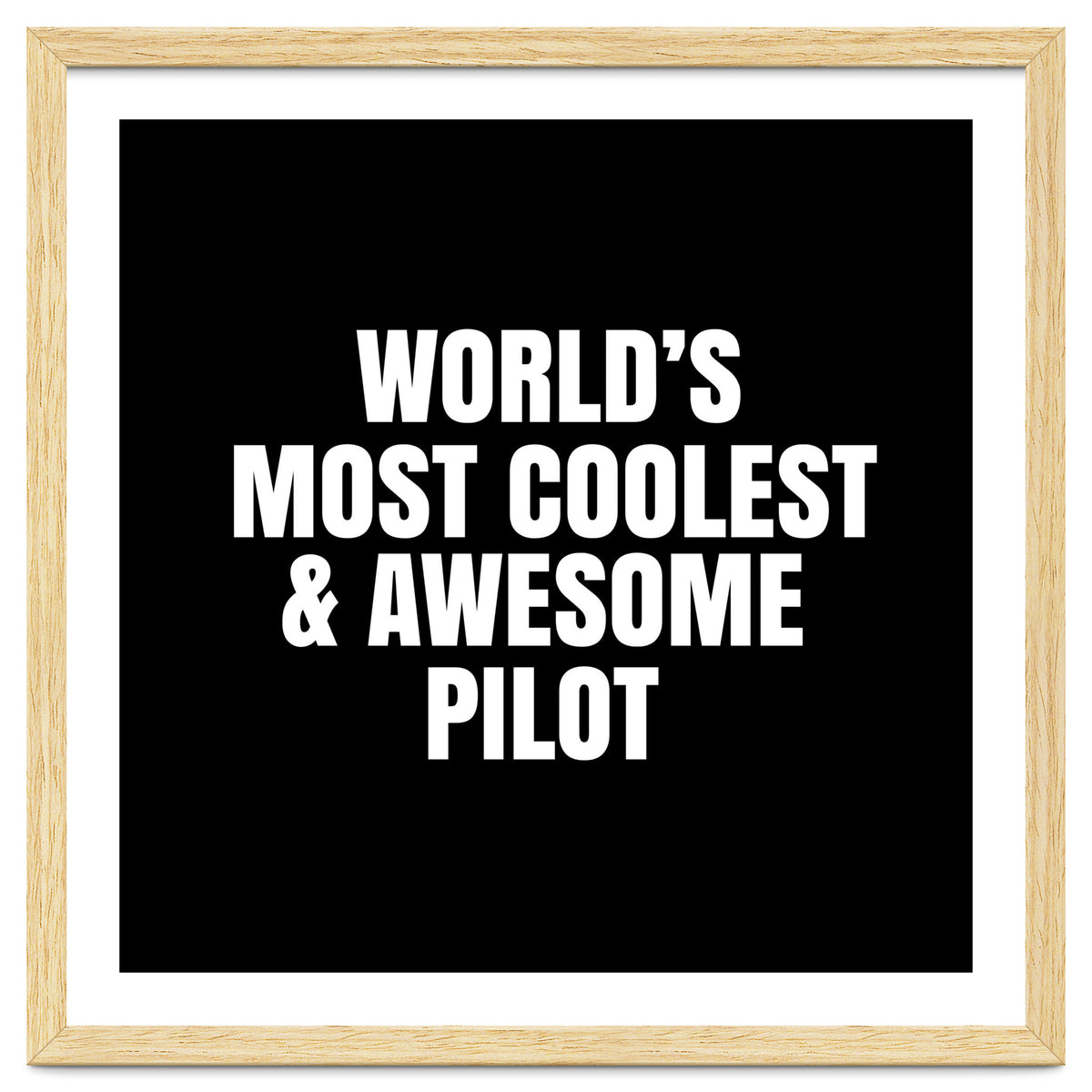 World's most coolest and awesome pilot