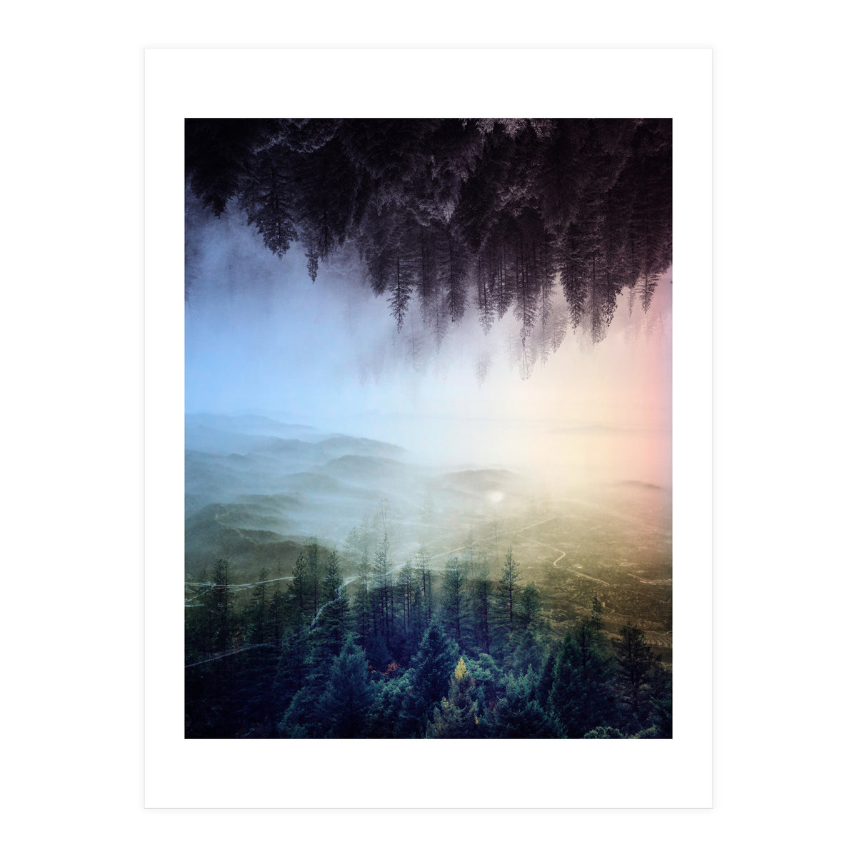 Magic Woods (Print Only)