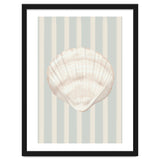 Sea shell thumbnail