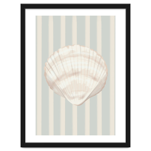Sea shell