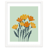 Orange and Yellow Flowers thumbnail