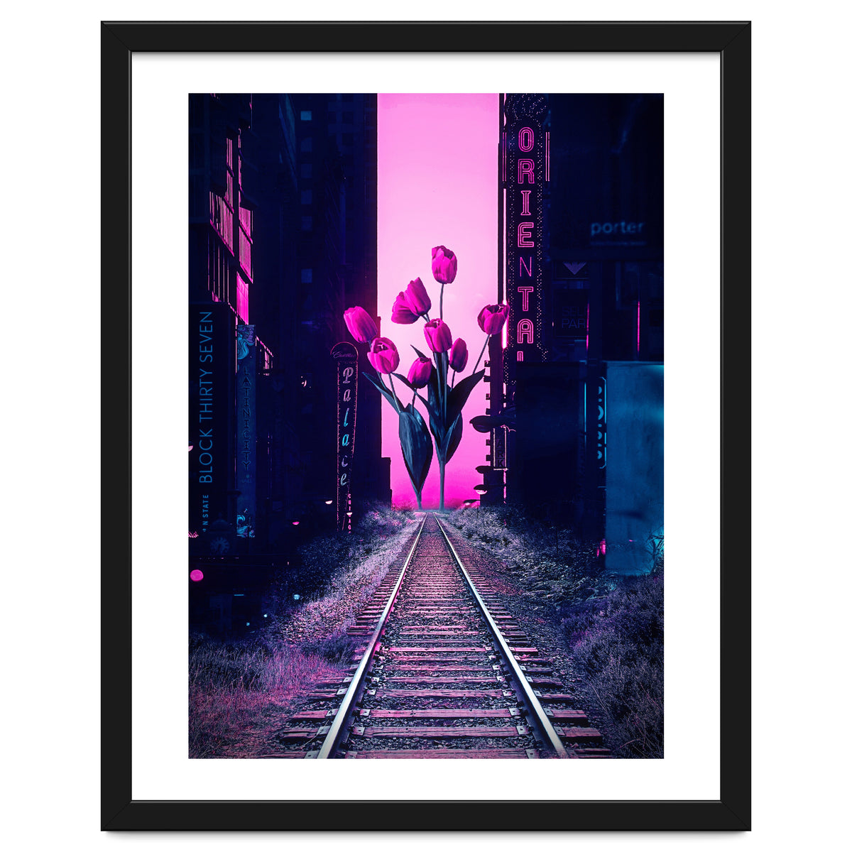 red tulips in the middle of the city