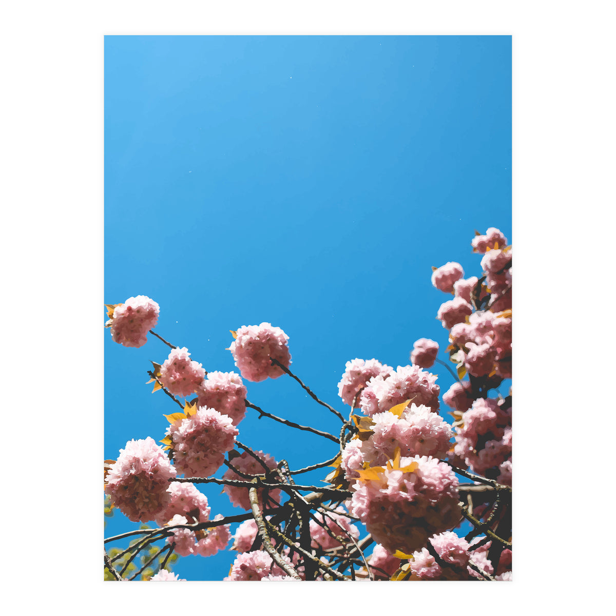 Pink Summer (Print Only)