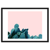 Kaktos thumbnail