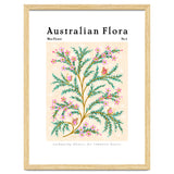 Australian Flora: Wax Flower thumbnail