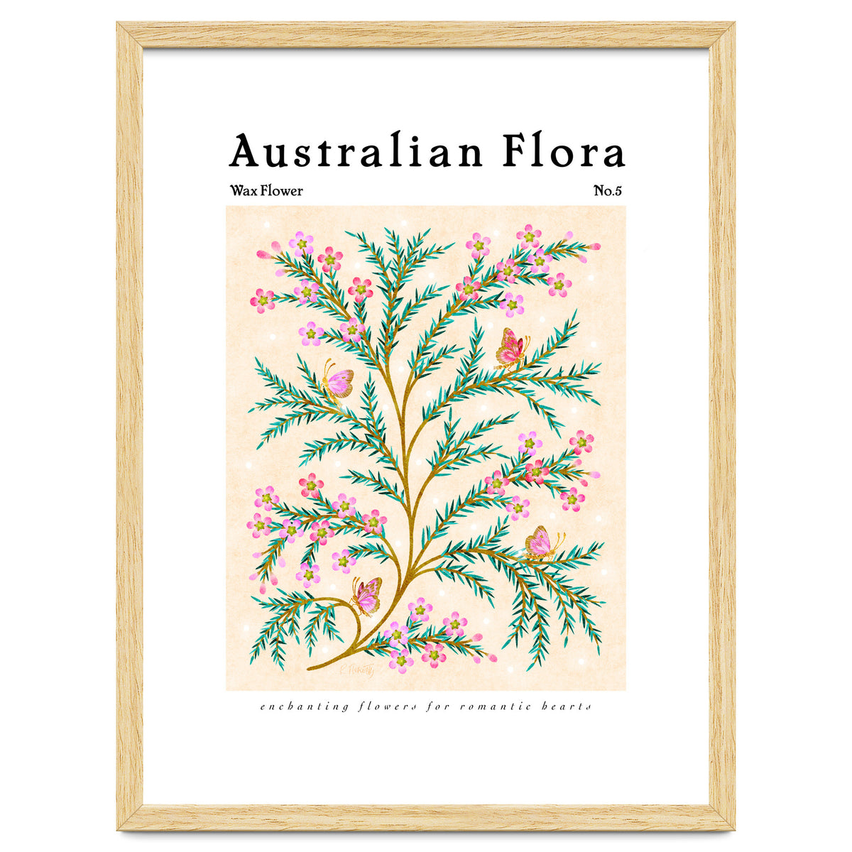 Australian Flora: Wax Flower