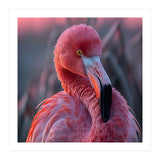 Pink Flamingo Bird Close Up Portrait (Print Only) thumbnail