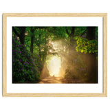 Hare in paradise thumbnail