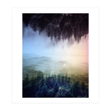Magic Woods (Print Only) thumbnail