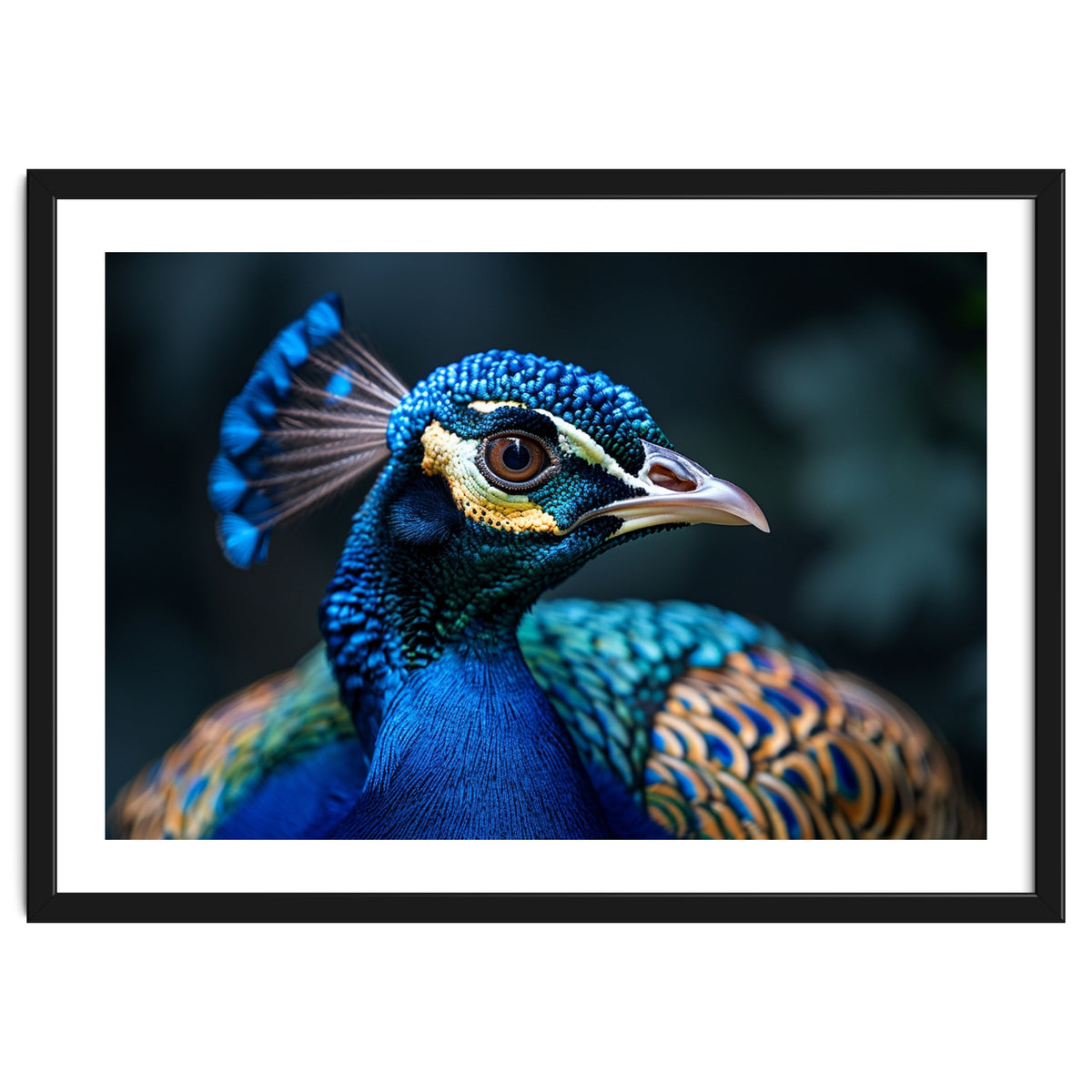 Peacock Head Close Up Majestic Blue Bird