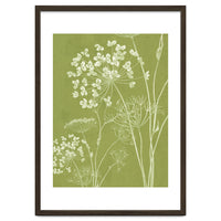 Wildflowers III