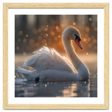 Majestic Swan Gliding On Water During Sunset Golden Hour Wildlife thumbnail