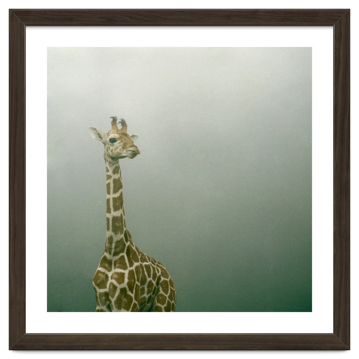 Silence of breath - 08