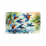 Kingfishers In Flight (Print Only) thumbnail