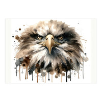 Fierce Bald Eagle Portrait (Print Only)