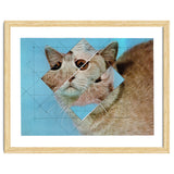 The Depressive Cat Am Abend Bekommt Den Blues thumbnail