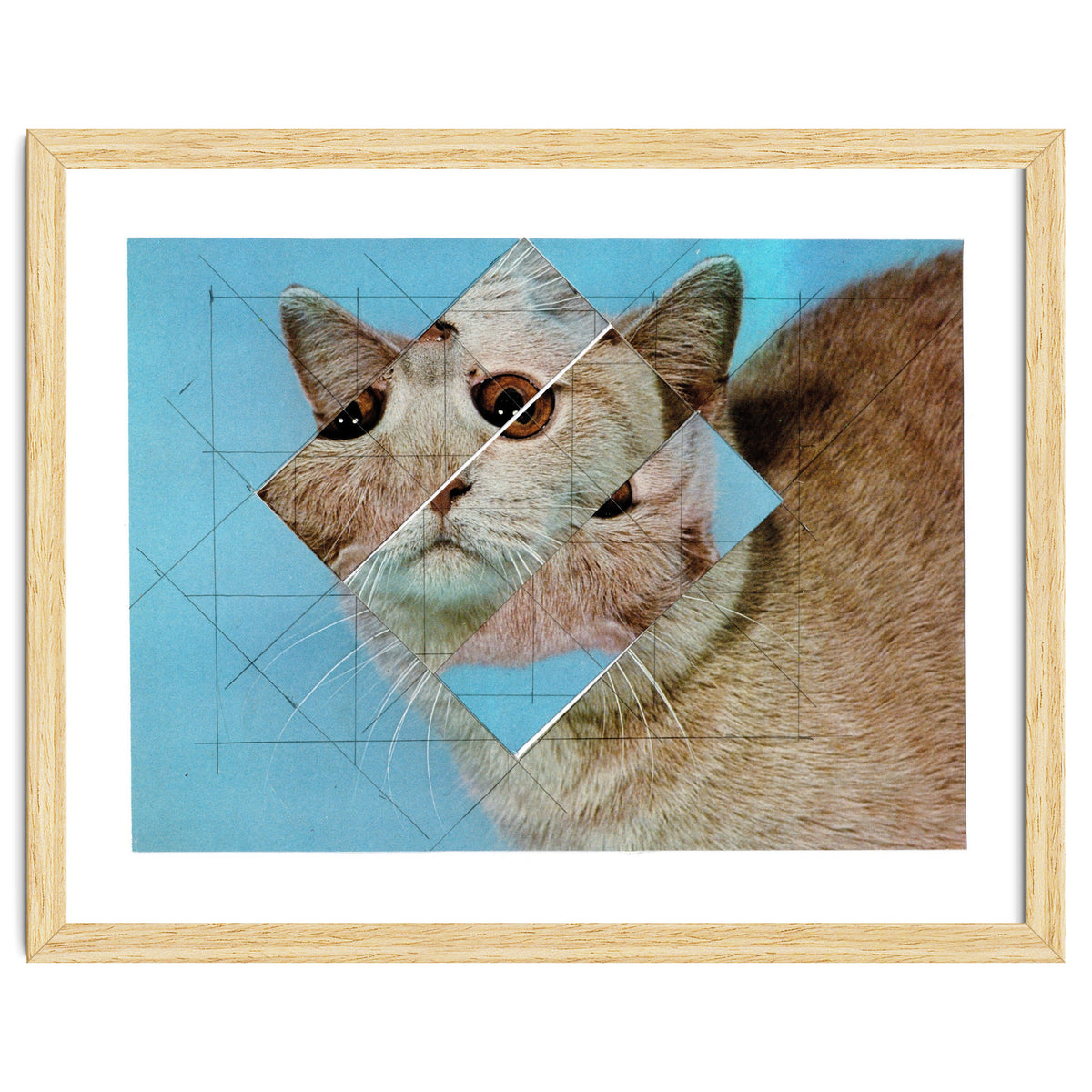 The Depressive Cat Am Abend Bekommt Den Blues