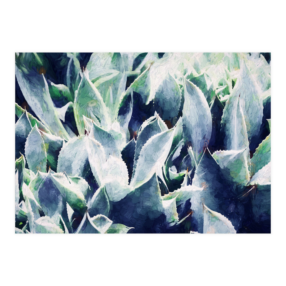 Cactus Garden (Print Only)