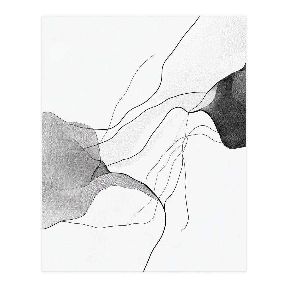 Abstract Black And White Flowing Lines And Shapes On White Background (Print Only)