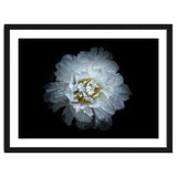 Backyard Flowers No 90 Color Version thumbnail