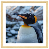 King Penguin In The Snow With Frosty Head thumbnail