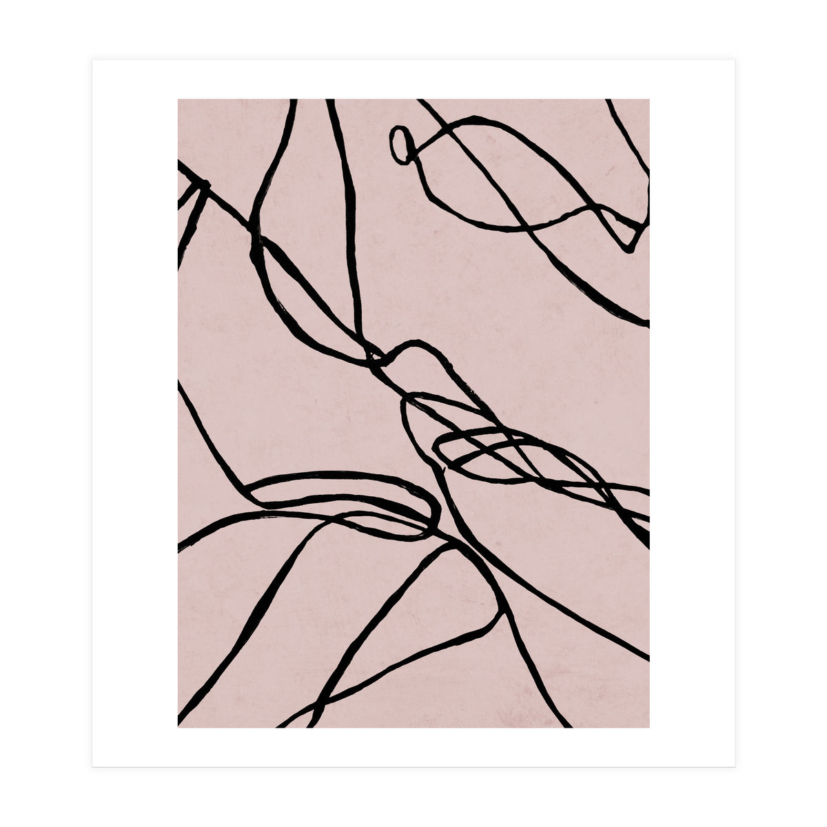 Lines on Rose (Print Only)